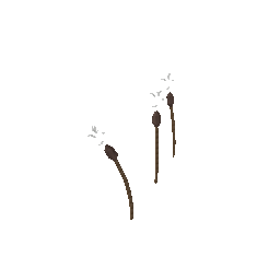 gf_tree2_02 (ID 2086) - GTA VC Nature