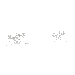 Rose_Bush03 (ID 2375) - GTA VC Nature