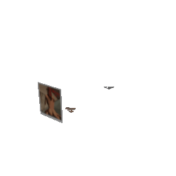 Poloroids (ID 2577) - GTA VC Object