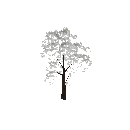 veg_tree3 (ID 440) - GTA VC Nature