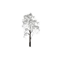 veg_treea1 (ID 441) - GTA VC Nature