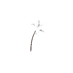 veg_palm02 (ID 446) - GTA VC Nature