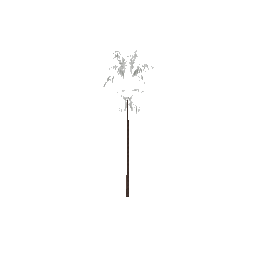 veg_palwee02 (ID 449) - GTA VC Nature