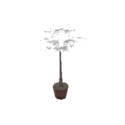 veg_palmkb1 (ID 450) - GTA VC Nature