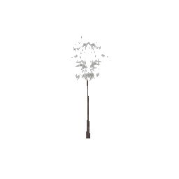 veg_palmkbb11 (ID 459) - GTA VC Nature