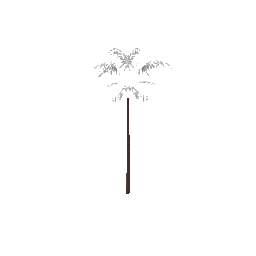 veg_palmkb13 (ID 469) - GTA VC Nature