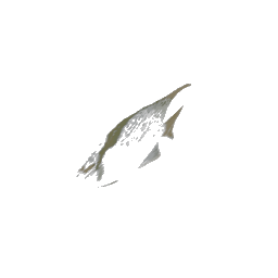 fish2single (ID 528) - GTA VC Object