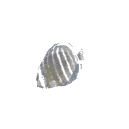 fish3single (ID 532) - GTA VC Object