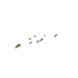 fish1s (ID 533) - GTA VC Object
