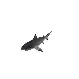 shark (ID 536) - GTA VC Object