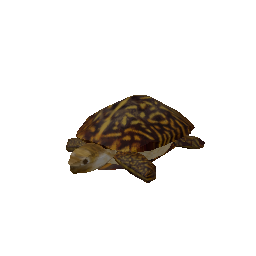 turtle (ID 537) - GTA VC Object