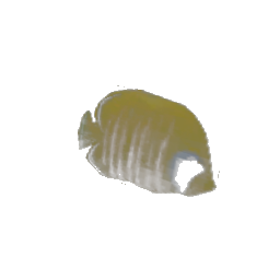 fish1single (ID 1599) - GTA SA Object