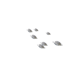fish3s (ID 1601) - GTA SA Object