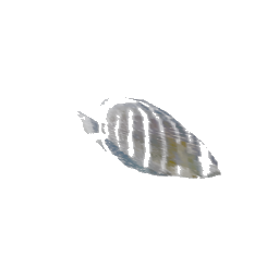 fish3single (ID 1604) - GTA SA Object