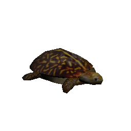 turtle (ID 1609) - GTA SA Object