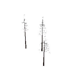 cw2_mntfir16 (ID 18271) - GTA SA Object