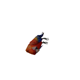 theparrot2 (ID 19079) - GTA SA SA-MP Object