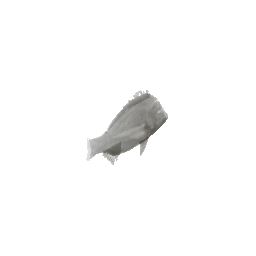 fish1 (ID 19630) - GTA SA SA-MP Object
