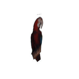 csparrot (ID 20205) - GTA SA Object