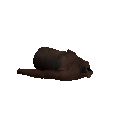 wcoat (ID 21147) - GTA SA Object