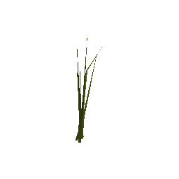 flowerb (ID 22016) - GTA SA Weapon