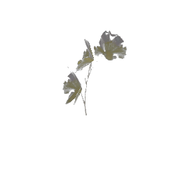 Plant_Pot_19 (ID 2250) - GTA SA Nature