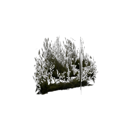 plant1 (ID 23017) - GTA SA Nature