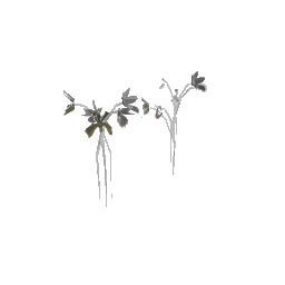 fun_flower_law (ID 2895) - GTA SA Nature