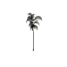 veg_palm04 (ID 620) - GTA SA Nature