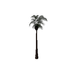 veg_palm02 (ID 621) - GTA SA Nature