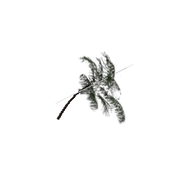 veg_palm03 (ID 622) - GTA SA Nature