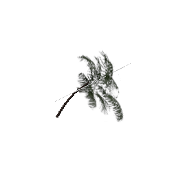 veg_palwee01 (ID 623) - GTA SA Nature