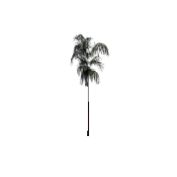 veg_palwee02 (ID 624) - GTA SA Nature
