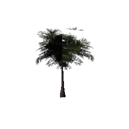 veg_palmkb5 (ID 629) - GTA SA Nature