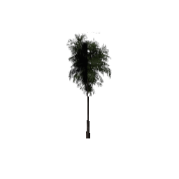 veg_palmkbb11 (ID 634) - GTA SA Nature