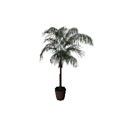 veg_palmkb14 (ID 646) - GTA SA Nature