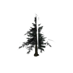 firtree2 (ID 664) - GTA SA Nature