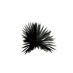 sm_des_agave2 (ID 678) - GTA SA Nature
