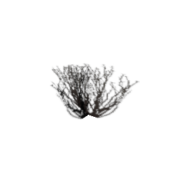 sm_des_bush1 (ID 692) - GTA SA Nature