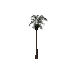 vgs_palm01 (ID 710) - GTA SA Nature