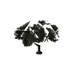 veg_bevtree3 (ID 715) - GTA SA Nature