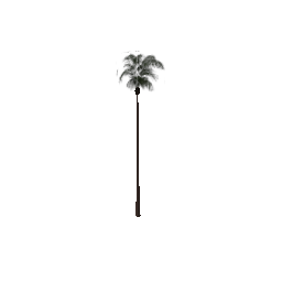 vgs_palmvtall (ID 740) - GTA SA Nature