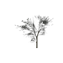 Elmwee_hism (ID 781) - GTA SA Nature