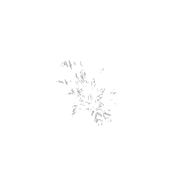 genVEG_bush01 (ID 801) - GTA SA Nature