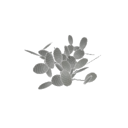 sand_plant03 (ID 863) - GTA SA Nature