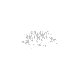 sand_combush1 (ID 864) - GTA SA Nature